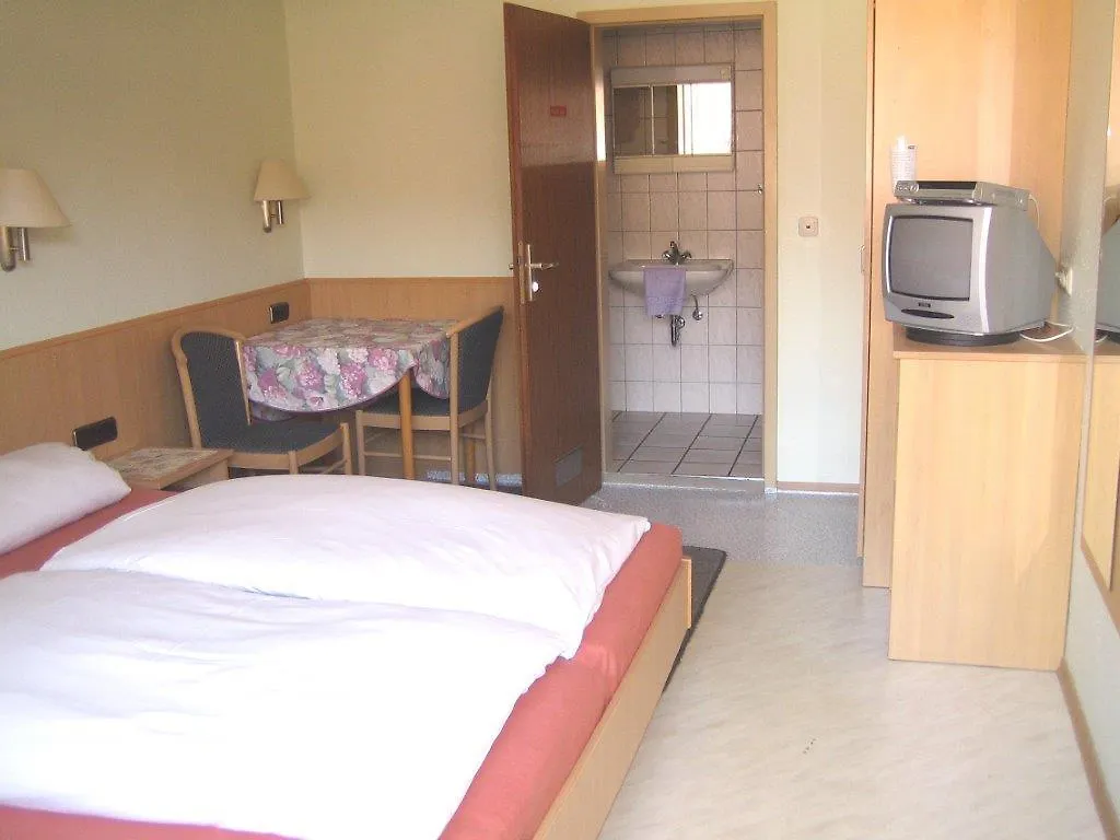 Gasthof-Metzgerei Rotes Ross Burghaslach Hotel